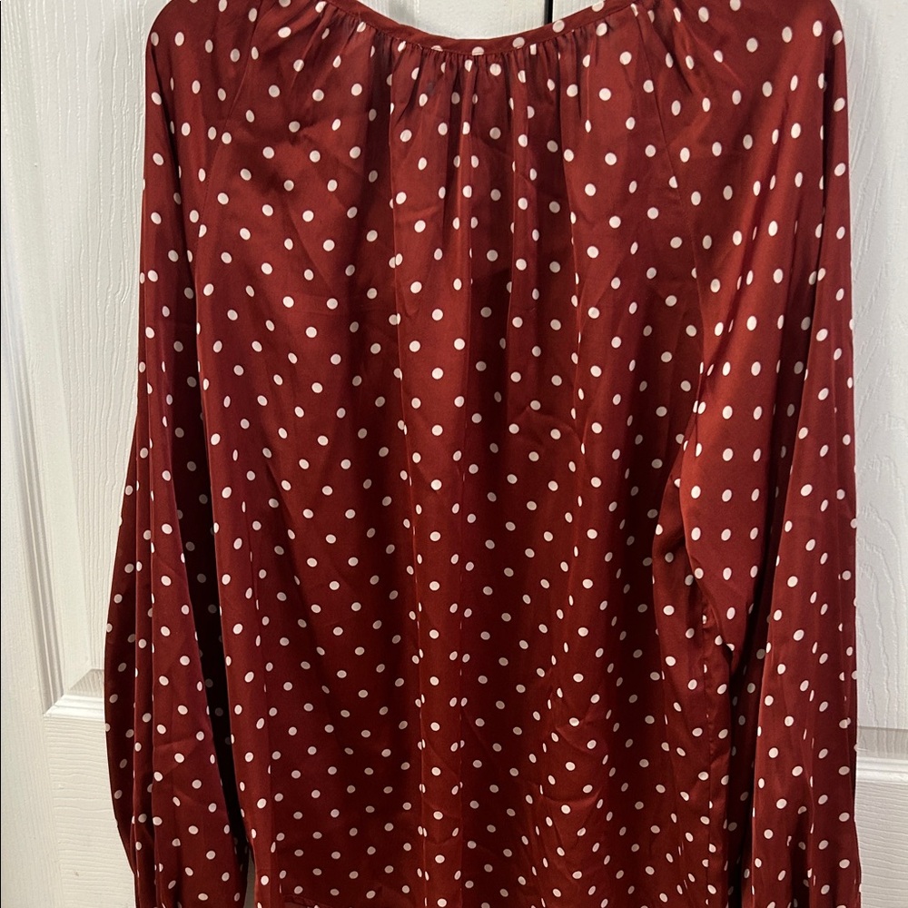 Rust Polka Dot Blouse - Picture 3 of 3